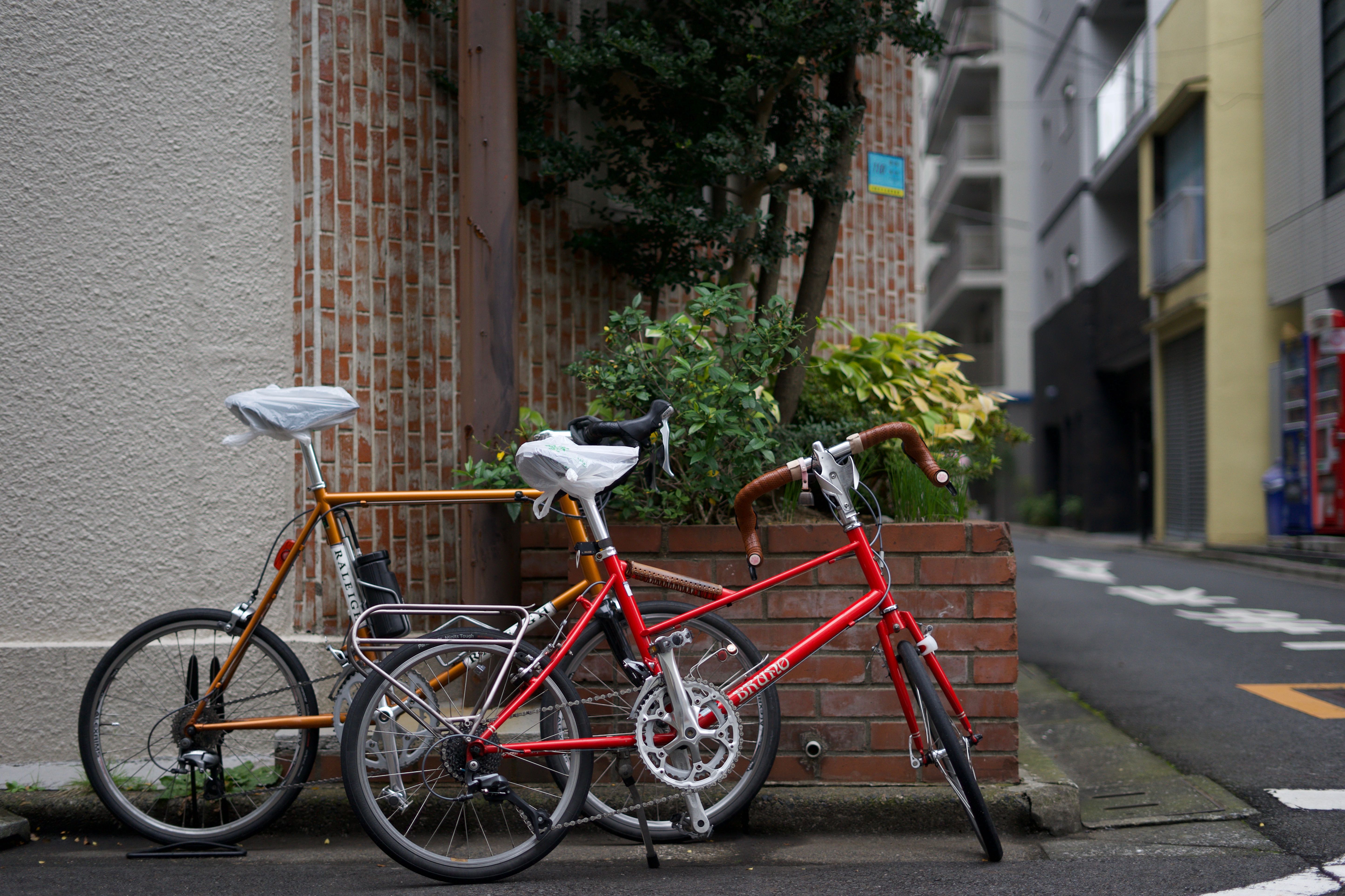 頼まれてもないのにやってたらそれが仕事になった話 株式会社エバーセンス