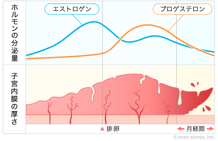 医師に尋ねるべき質問